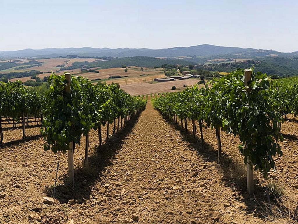 Podere Schioppello Casale Con Appartamenti Privati Cibottola Exterior photo